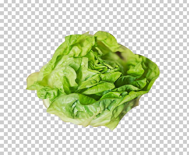 Smoothie Lettuce Soup Centers For Disease Control And Prevention PNG, Clipart, Cabbage, Cabbage Cartoon, Cabbage Leaves, Chard, Eating Free PNG Download