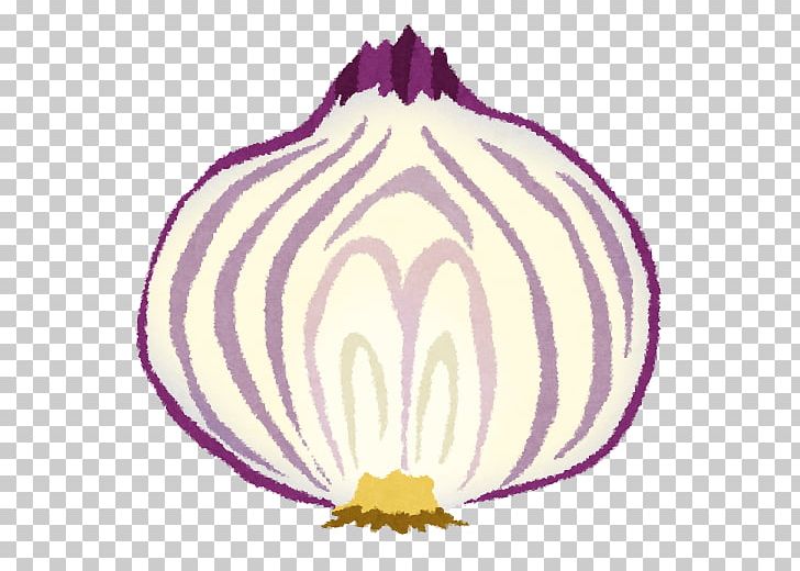 STXBRIC4HEC PR USD Onion PNG, Clipart, Anime, Chopped Vegetables, Circle, Clip Art, Comics Free PNG Download