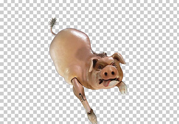 Domestic Pig Cattle Mammal Snout PNG, Clipart, Animal, Animal Figure, Animals, Cattle, Cattle Like Mammal Free PNG Download
