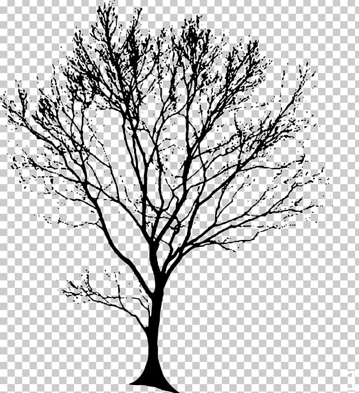 Drawing Tree Silhouette PNG, Clipart, Art , Black And White, Branch, Clip Art, Diagram Free PNG Download