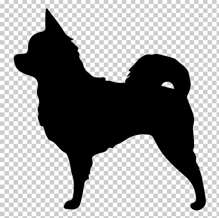 Long-haired Chihuahua Pomeranian Papillon Dog PNG, Clipart, Animals, Black, Black And White, Carnivoran, Chihuahua Free PNG Download