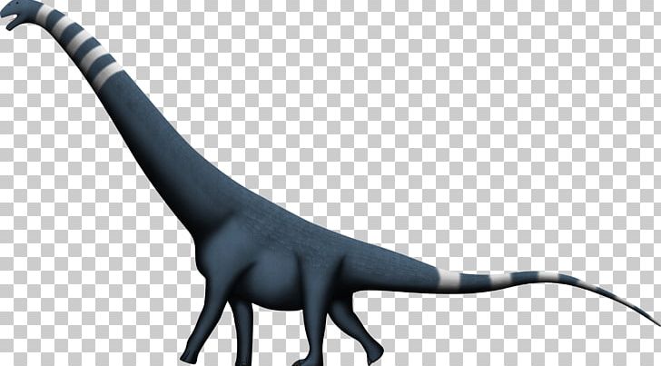 Puertasaurus Dinosaur Size Alamosaurus Amphicoelias Argentinosaurus PNG, Clipart, Alamosaurus, Amphicoelias, Argentinosaurus, Cenomanian, Cretaceous Free PNG Download