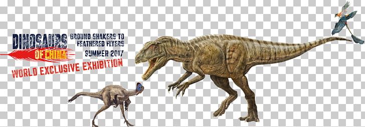Velociraptor Dinosaur Dream Tyrannosaurus Brachiosaurus PNG, Clipart, Animal Figure, Brachiosaurus, Child, Dinosaur, Dinosaur Dream Free PNG Download