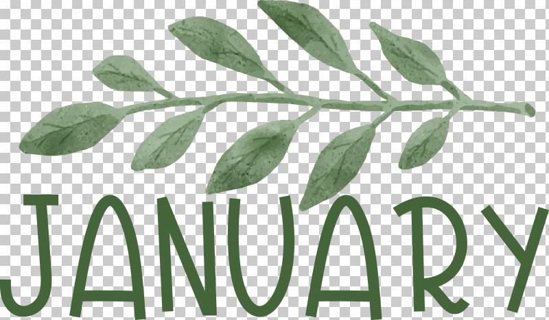 Leaf Plant Stem Logo Font Tree PNG, Clipart, Biology, Branching, Leaf, Logo, Meter Free PNG Download