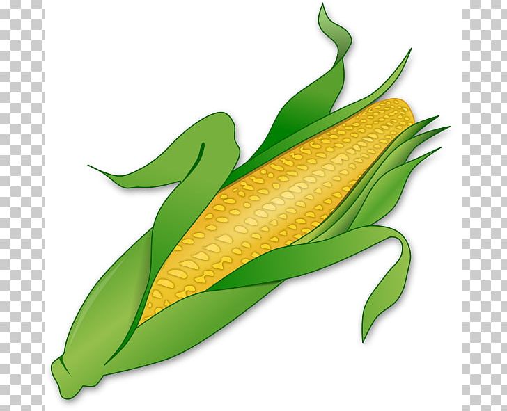 Corn On The Cob Candy Corn Maize Sweet Corn PNG, Clipart, Candy Corn, Commodity, Computer Icons, Corncob, Corn On The Cob Free PNG Download