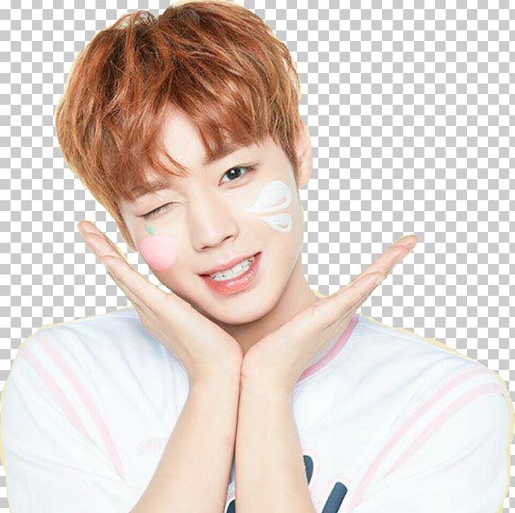 Wanna One Produce 101 Season 2 Innisfree K-pop PNG, Clipart, Allkpop, Bangs, Brown Hair, Cheek, Chin Free PNG Download