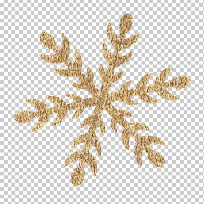 Fern PNG, Clipart, American Larch, Branch, Colorado Spruce, Fern, Flower Free PNG Download