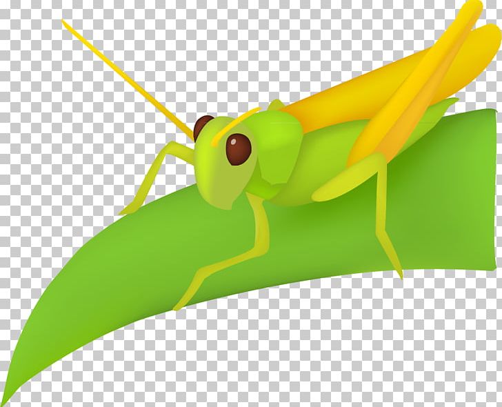 Leaf Grasshopper PNG, Clipart, Cartoon, Cartoon Character, Cartoon Eyes, Cartoons, Christmas Decoration Free PNG Download