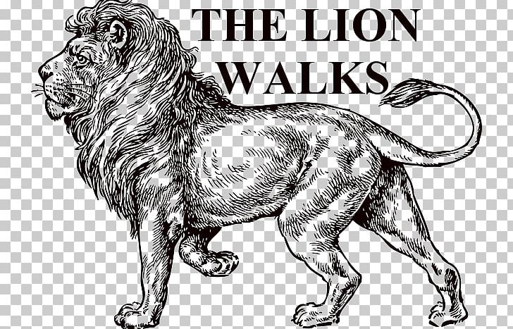 Lion Drawing Sketch PNG, Clipart, Animals, Art, Artwork, Big Cats, Black And White Free PNG Download