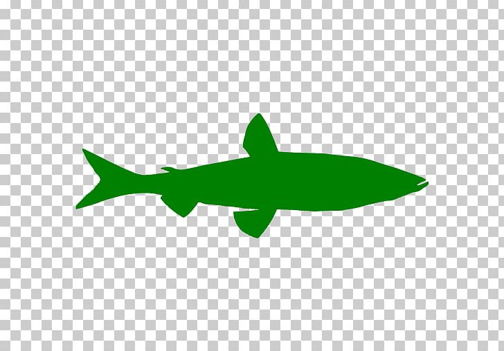 Shark Computer Icons PNG, Clipart, Airplane, Animal, Animals, Cartilaginous Fish, Computer Icons Free PNG Download