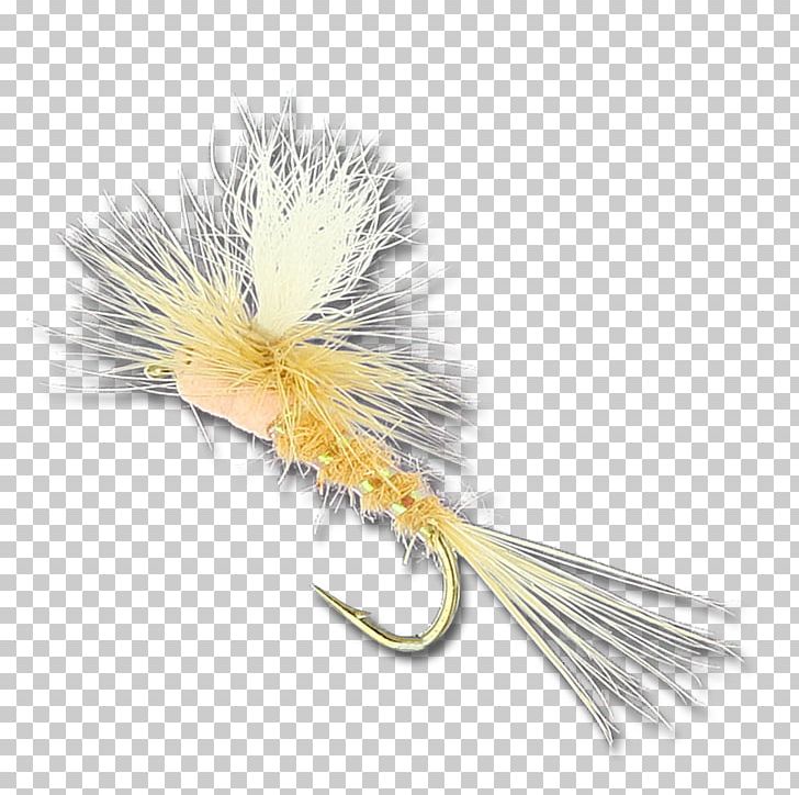 Artificial Fly PNG, Clipart, Artificial Fly, Wing, Yellow Free PNG Download