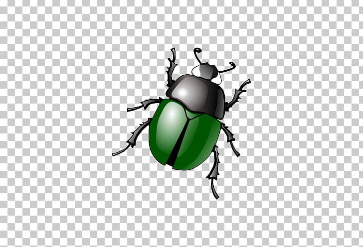 Beetle Free Content Software Bug PNG, Clipart, Animals, Aphid, Arthropod, Beetle, Hand Free PNG Download