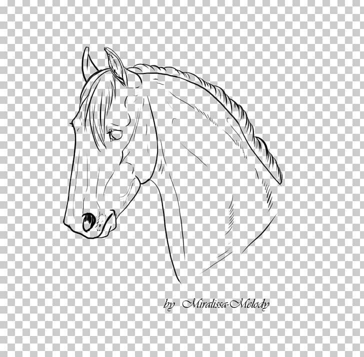 Horse Line Art Pony Mane Sketch PNG, Clipart, Animals, Arm, Art, Art Museum, Artwork Free PNG Download