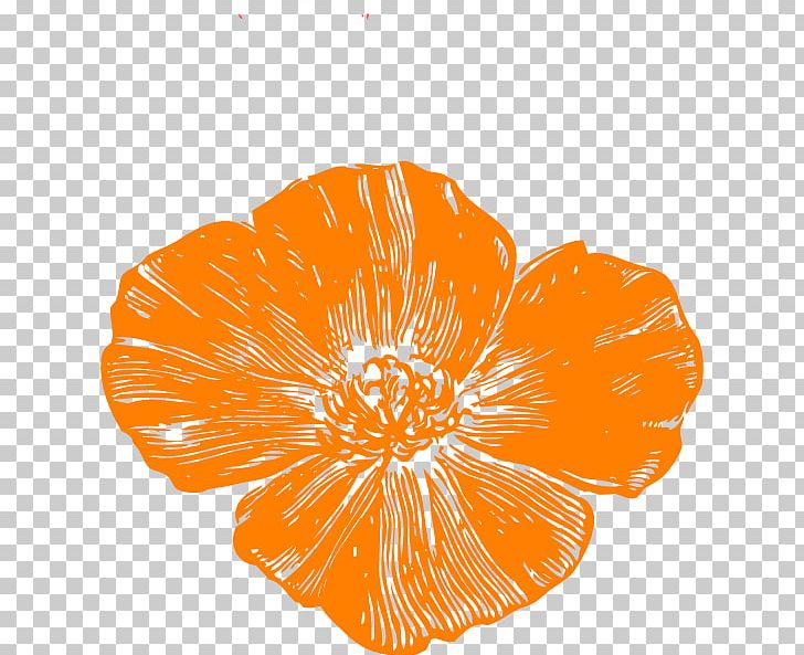 Remembrance Poppy California Poppy PNG, Clipart, Armistice Day, California Poppy, Color, Common Poppy, Flower Free PNG Download