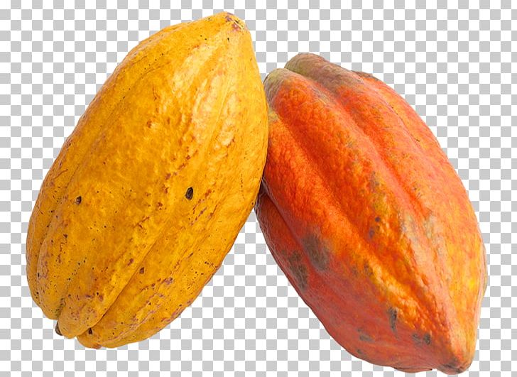Theobroma Cacao Cocoa Bean Chocolate Cocoa Solids PNG, Clipart, Background Size, Cacao, Cocoa Bean, Cocoa Butter, Creative Commons Free PNG Download