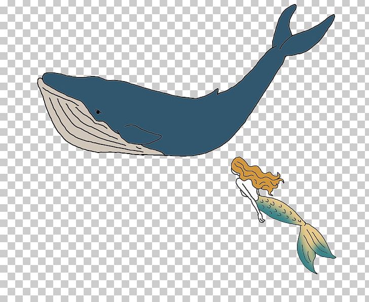 Dolphin Whale Vocalization Porpoise Symbol PNG, Clipart, Animal, Animals, Beak, Bird, Cetacea Free PNG Download