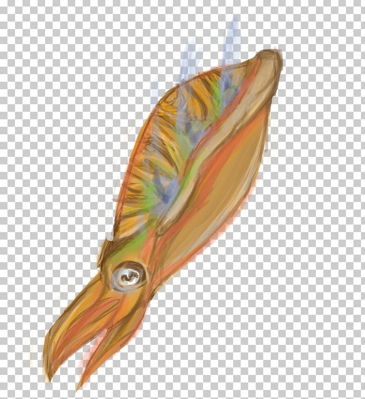 Feather Seafood Invertebrate Beak Fish PNG, Clipart, Animals, Beak, Feather, Fish, Invertebrate Free PNG Download