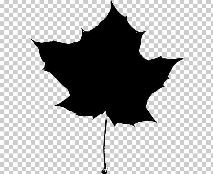 Maple Leaf Autumn Leaf Color PNG, Clipart, Autumn, Autumn Leaf Color, Black, Black And White, Branch Free PNG Download