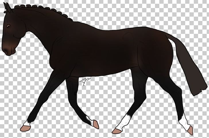 Mustang Stallion Appaloosa Mare Rein PNG, Clipart, Appaloosa, Bit, Black, Bridle, Colt Free PNG Download