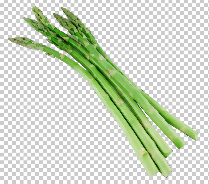 Vegetable Welsh Onion Leek Plant Scallion PNG, Clipart, Allium, Asparagus, Chinese Celery, Chives, Food Free PNG Download