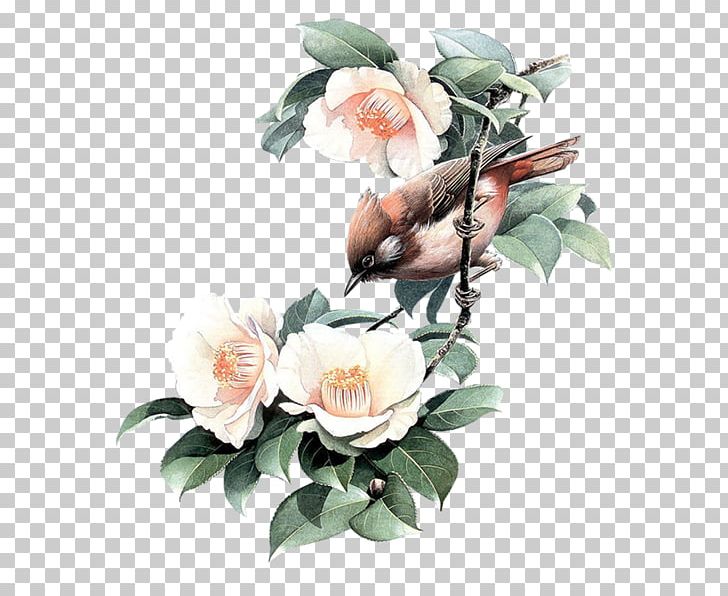 Bird-and-flower Painting Bird-and-flower Painting Garden Roses PNG, Clipart, Animals, Artificial Flower, Bird, Cut Flowers, Download Free PNG Download