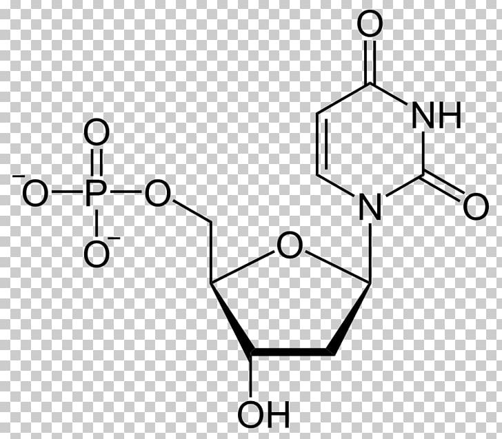 Deoxyuridine Monophosphate Uridine Diphosphate Uridine Triphosphate PNG, Clipart, Adenosine Monophosphate, Angle, Area, Black And White, Cytidine Free PNG Download