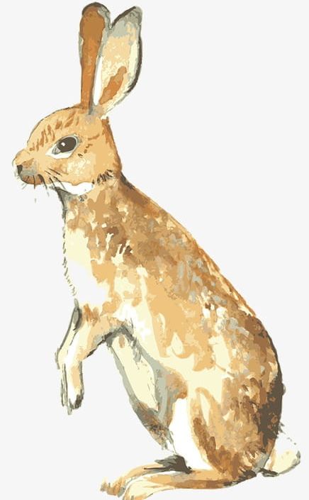 Hand-painted Animals PNG, Clipart, Animal, Animals, Animals Clipart, Brown, Cute Free PNG Download
