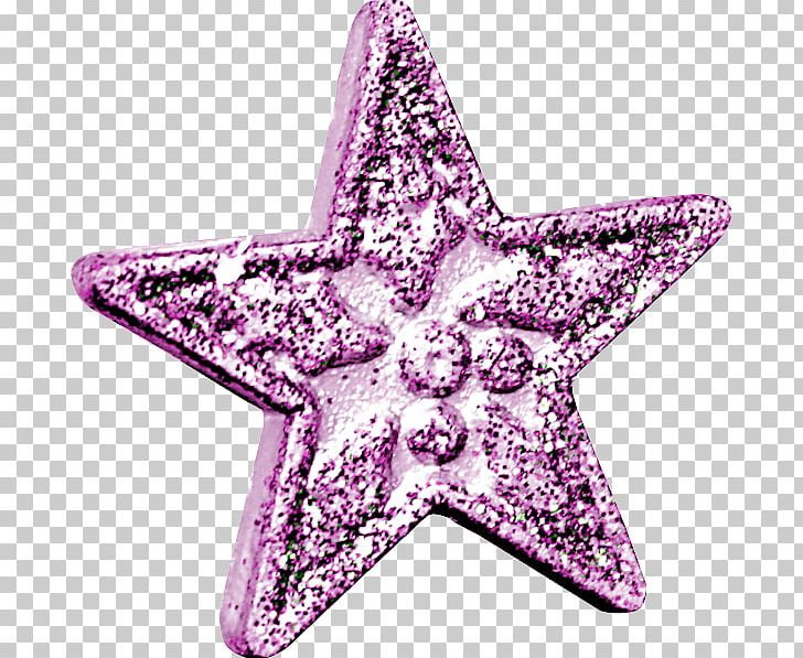 Starfish Pink M PNG, Clipart, Animals, First Snow, Gof, Pink, Pink M Free PNG Download