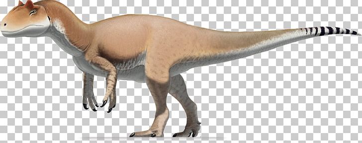 Allosaurus Antrodemus Saurophaganax Tyrannosaurus Stegosaurus PNG, Clipart, Allosauridae, Allosaurus, Animal Figure, Antrodemus, Brachiosaurus Free PNG Download