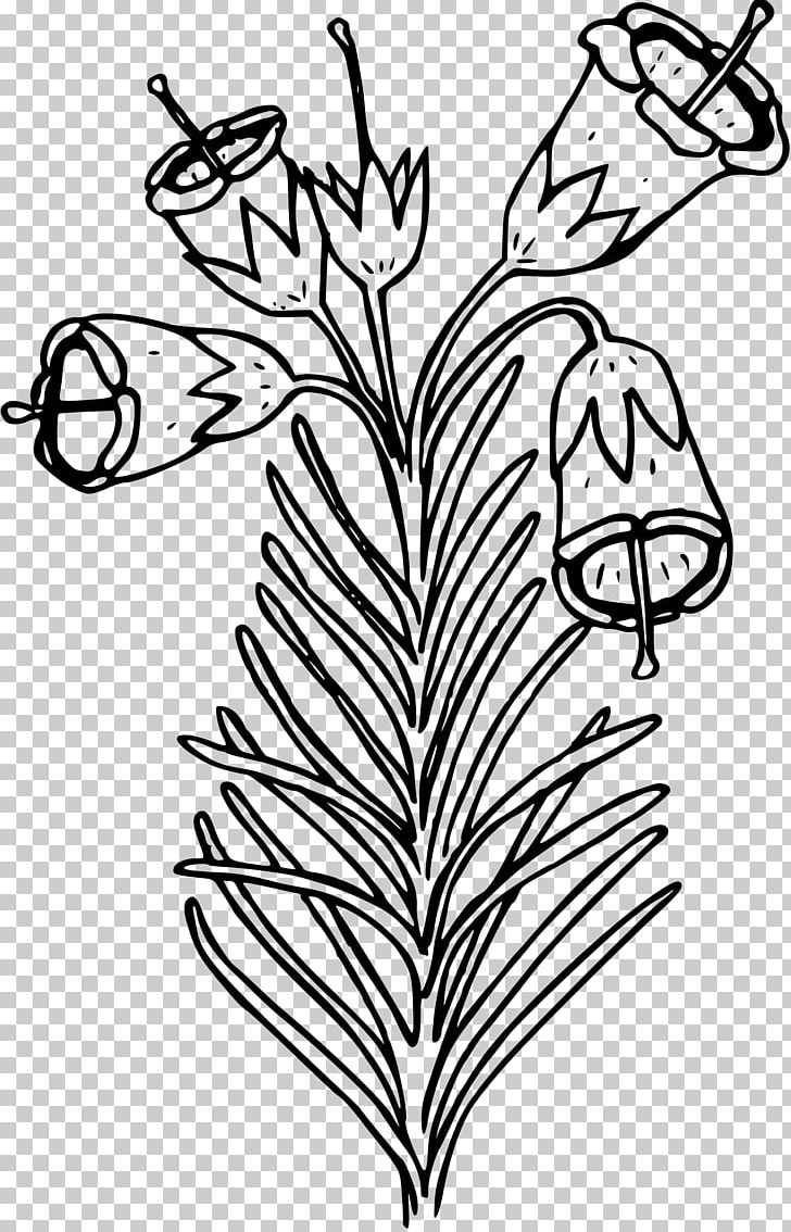 Drawing Coloring Book Calluna Flower Coloring Pages For Kids PNG, Clipart, Angle, Autumn, Black And White, Branch, Brezo Free PNG Download