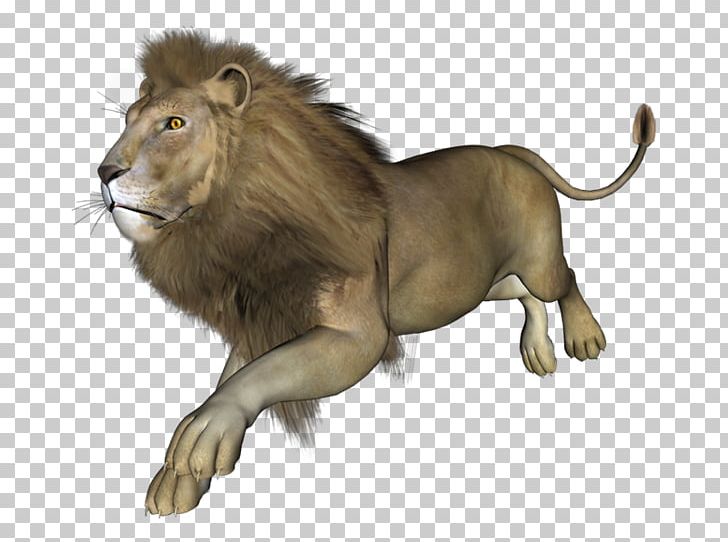 East African Lion 3D Rendering PNG, Clipart, 3d Computer Graphics, 3d Rendering, Big Cats, Carnivoran, Cat Like Mammal Free PNG Download