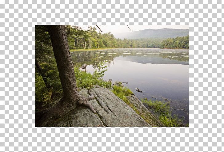 Lake District Loch Nature Reserve Water Resources Bog PNG, Clipart, Bank, Bayou, Bog, Country Lane Campground Rv Park, Floodplain Free PNG Download