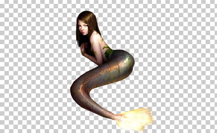 Mermaid Siren Ping Tail PNG, Clipart, Brown Hair, Child, Deniz, Fantasy, Fashion Model Free PNG Download