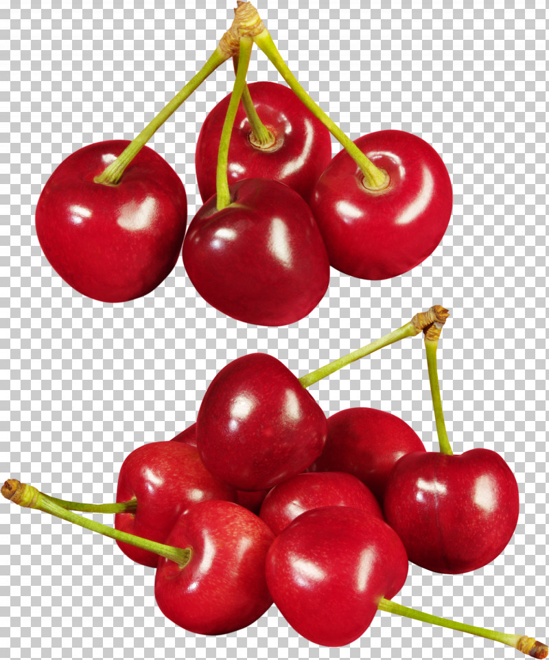 Strawberry PNG, Clipart, Barbados Cherry, Berry, Cerasus, Cherry, Cranberry Free PNG Download