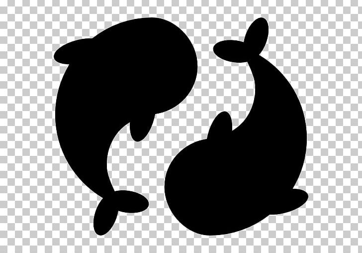 Computer Icons Carp Pond PNG, Clipart, Black, Black And White, Carnivoran, Carp, Cat Free PNG Download