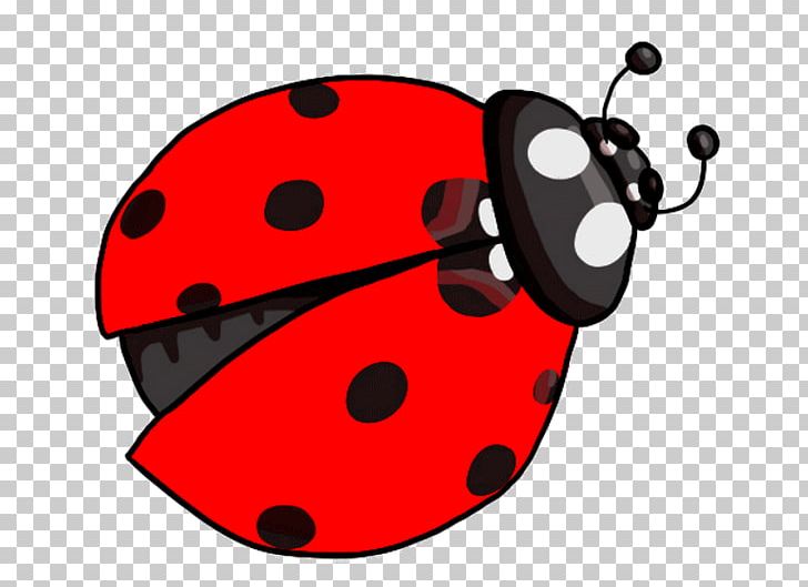 Lady Bird PNG, Clipart, Art, Artwork, Insect, Invertebrate, Ladybird Free PNG Download