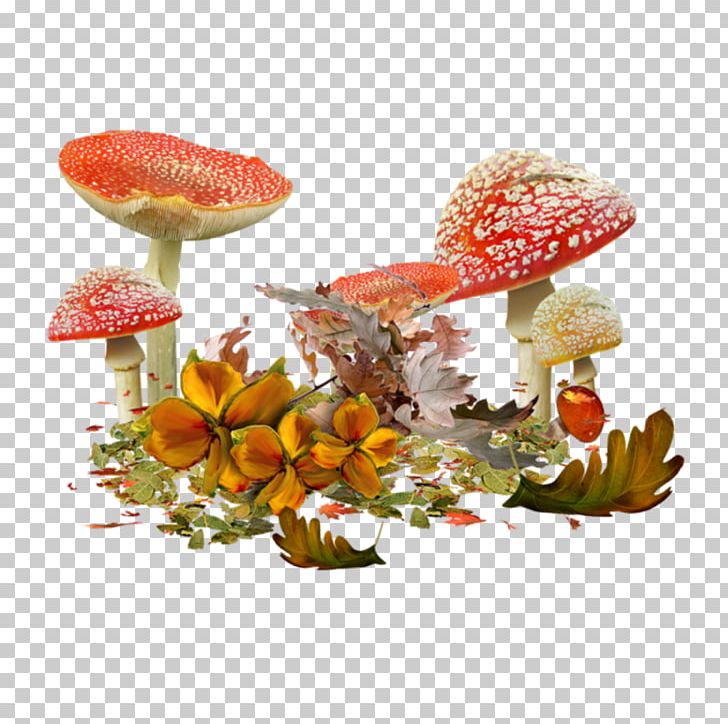 Mushroom Fungus PNG, Clipart, Amanita Muscaria, Champignon, Champignon Mushroom, Clip Art, Download Free PNG Download
