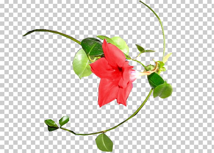 Petal Floral Design Cut Flowers Plant Stem PNG, Clipart, Art, Branch, Branching, Cut Flowers, Fleur Free PNG Download