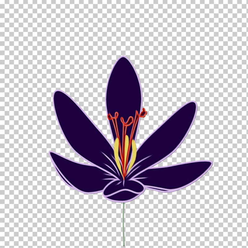 Flower Purple Plant Violet Petal PNG, Clipart, Butterfly, Crocus, Flower, Iris, Paint Free PNG Download