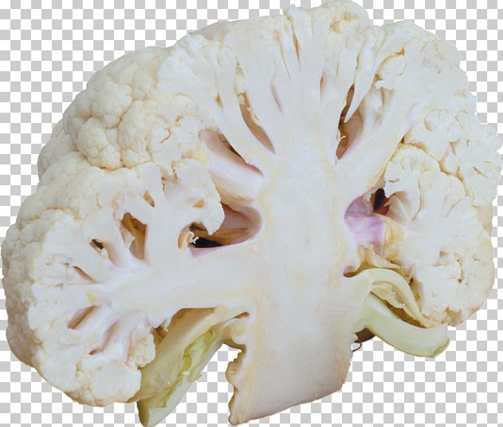 Cauliflower Broccoli Vegetarian Cuisine Vegetable Cabbage PNG, Clipart, Bone, Broccoli, Brussels Sprout, Cabbage, Cauliflower Free PNG Download