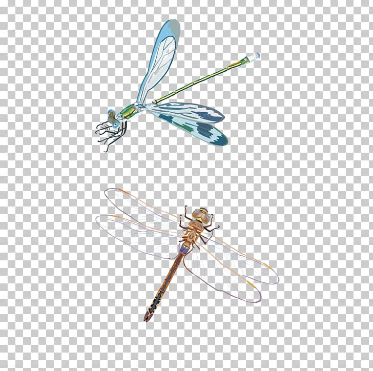 Dragonfly Insect PNG, Clipart, Animal, Cartoon, Encapsulated Postscript, Explosion Effect Material, Happy Birthday Vector Images Free PNG Download