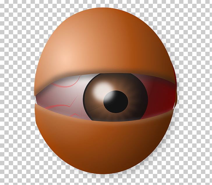 Human Eye Egg Iris PNG, Clipart, Circle, Closeup, Color, Computer Icons, Cornea Free PNG Download
