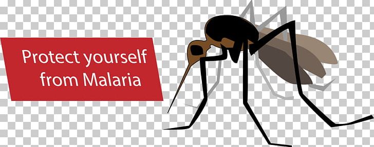Mosquito Malaria Anopheles Gambiae Eradication Of Infectious Diseases PNG, Clipart, Anopheles Gambiae, Brand, Cartoon, Chana Chemist, Clinic Free PNG Download