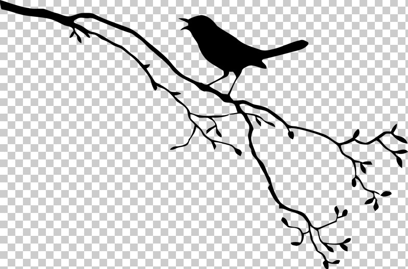 Bird Beak White Branch Black PNG, Clipart, Adaptation, Beak, Bird, Black, Blackandwhite Free PNG Download