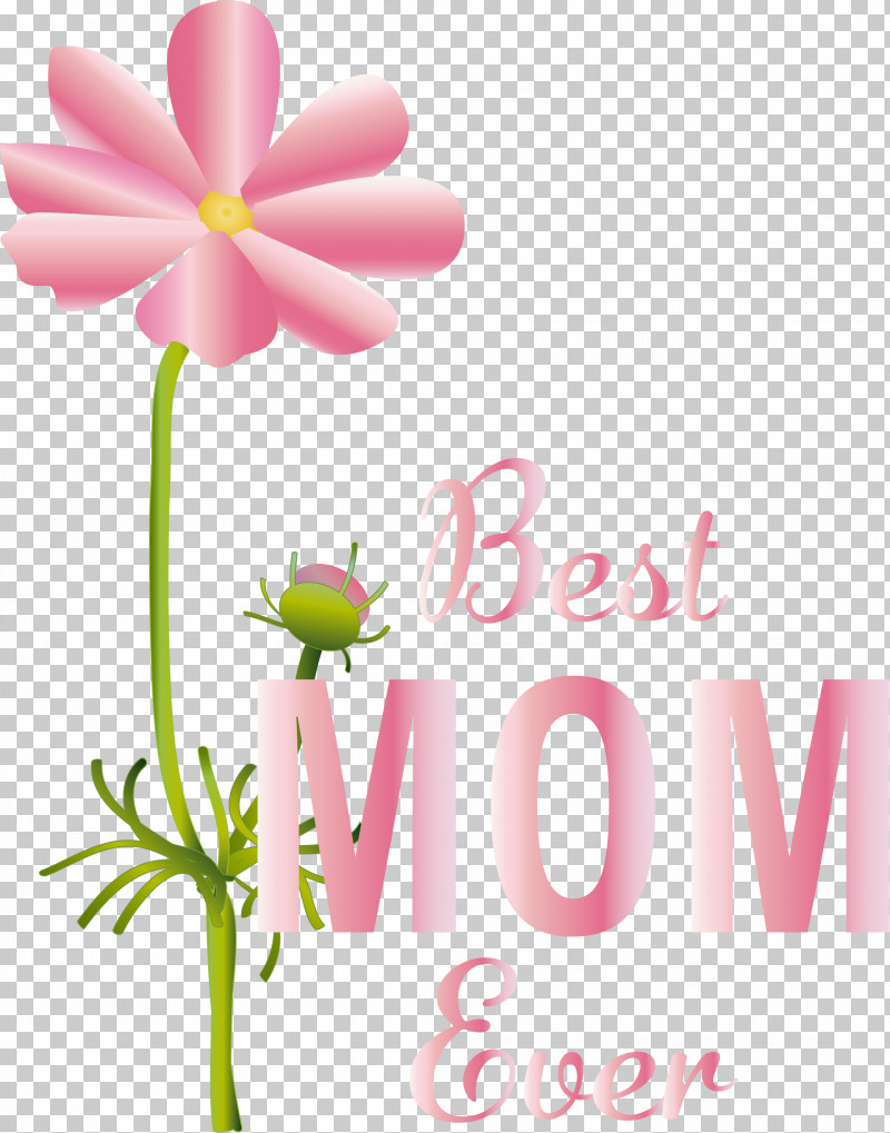 Floral Design PNG, Clipart, Cut Flowers, Floral Design, Flower, Greeting, Greeting Card Free PNG Download