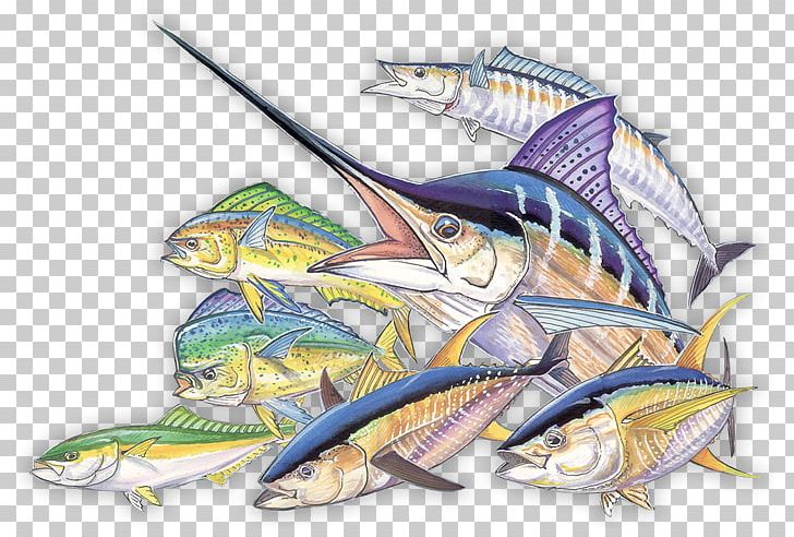 Illustration Fauna Cartoon Fish PNG, Clipart, Art, Cartoon, Dragon, Fauna, Fictional Character Free PNG Download