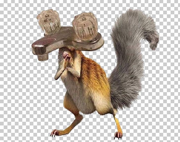 Scrat Squirrel Sid Ice Age PNG, Clipart, Age, Animals, Chipmunk, Fauna, Flying Squirrel Free PNG Download