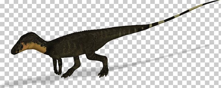 Velociraptor Poposaurus Tyrannosaurus Triassic Dinosaur PNG, Clipart, Animal, Animal Figure, Beak, Bipedalism, Dinosaur Free PNG Download
