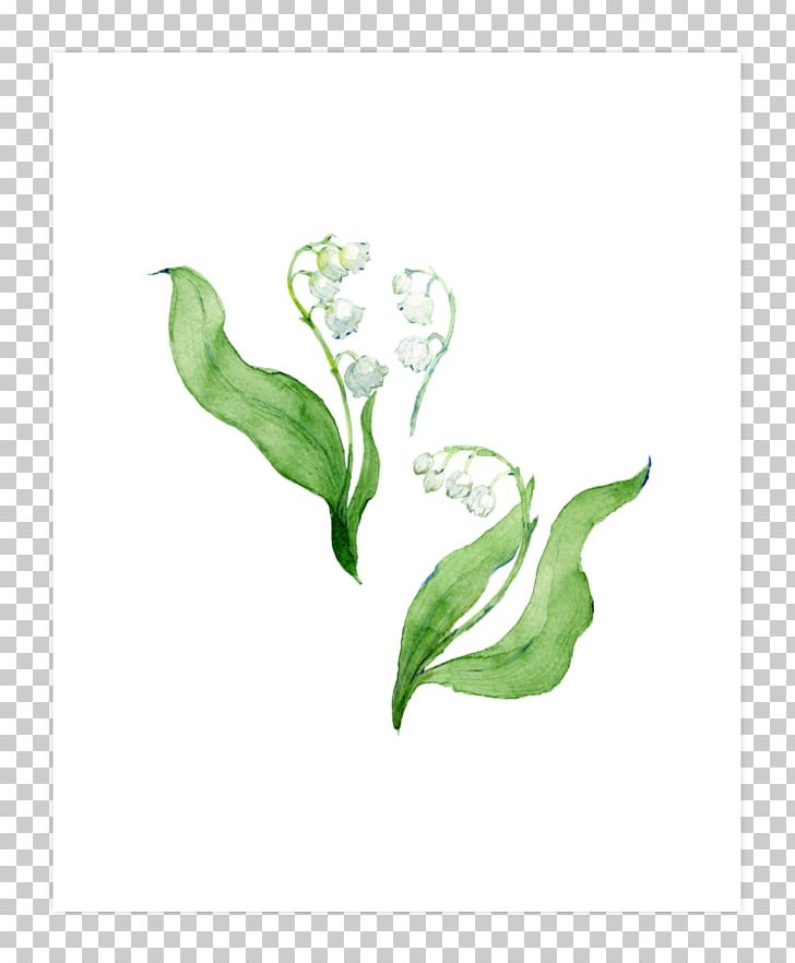 Flowering Plant Green Plant Stem Leaf PNG, Clipart, Branch, Branching, Flora, Flower, Flowering Plant Free PNG Download