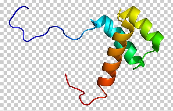 HOXB13 Hox Gene Protein Homeobox PNG, Clipart, Area, Artwork, Gene, Heredity, Homeobox Free PNG Download